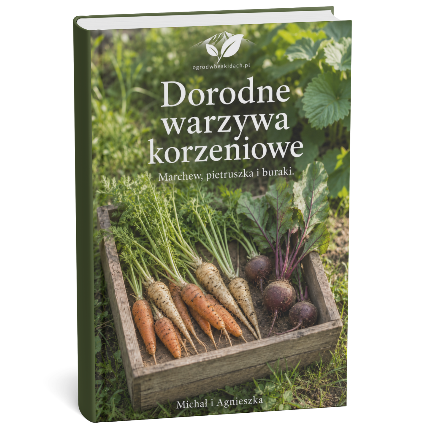 Warzywa Korzeniowe