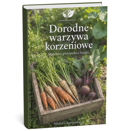 Warzywa Korzeniowe