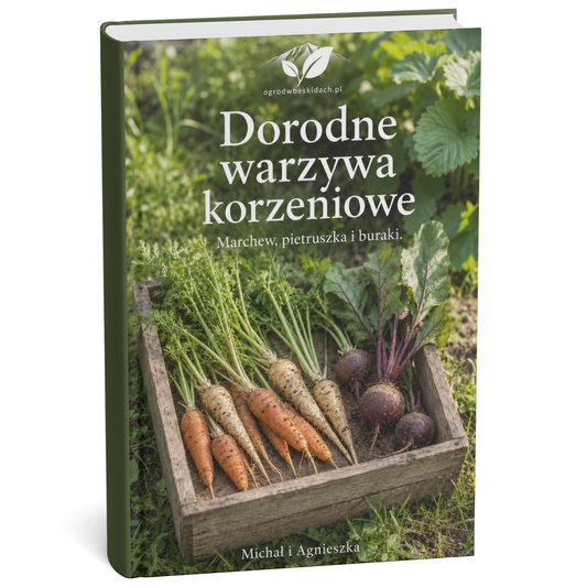 Warzywa Korzeniowe