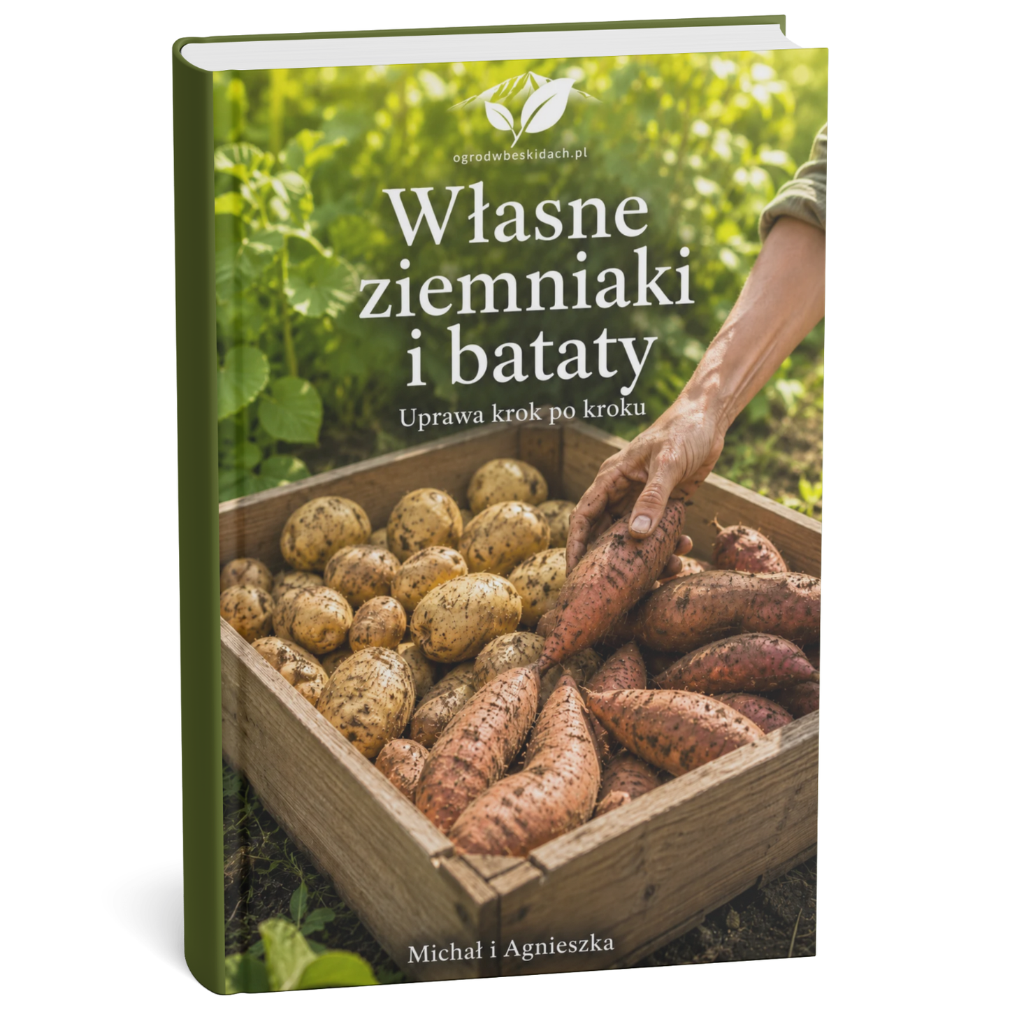 Ziemniaki i Bataty