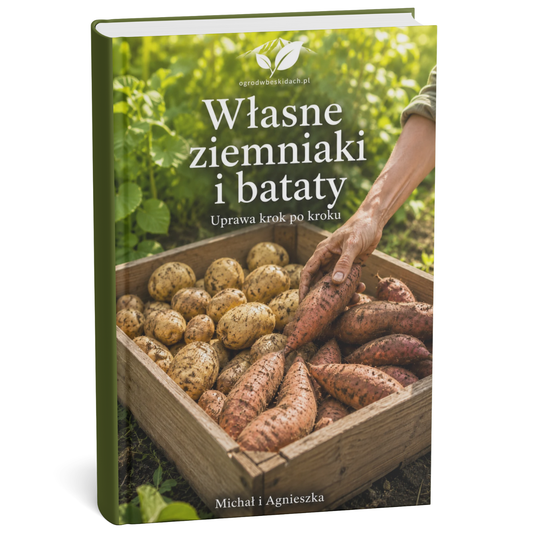 Ziemniaki i Bataty