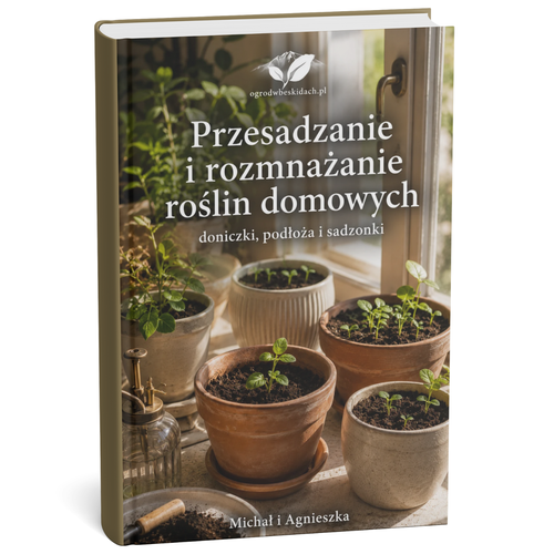 Przesadzanie i Rozmnażanie Roślin Domowych
