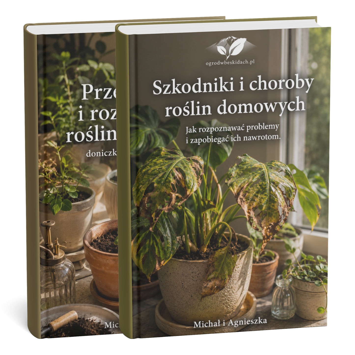 Zestaw Rośliny Domowe
