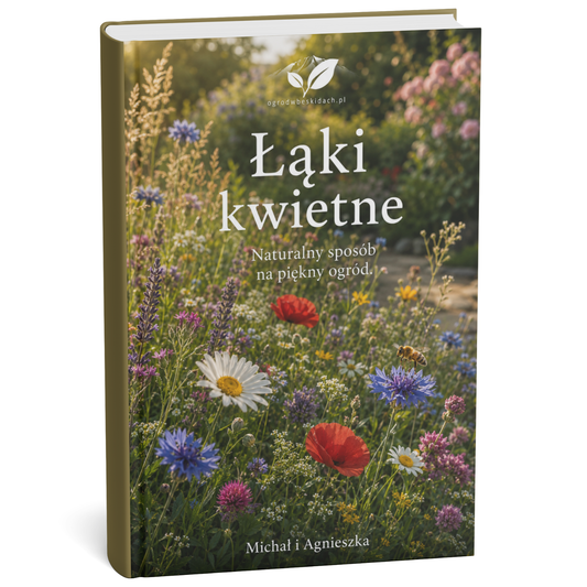 Łąki Kwietne