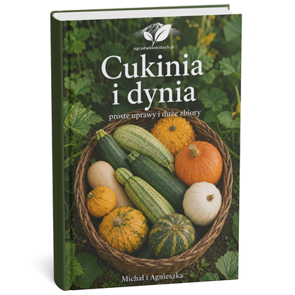 Cukinie i Dynie