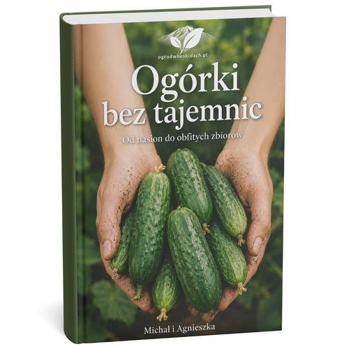 Ogórki