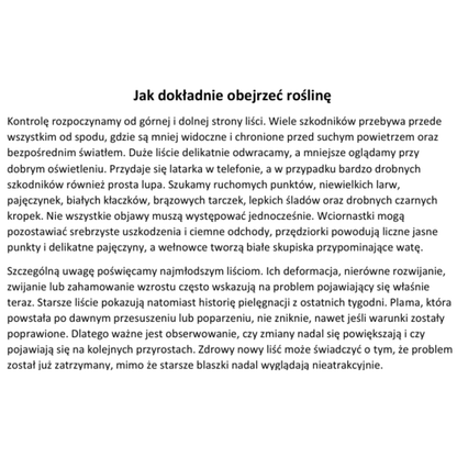 Szkodniki i Choroby Roślin Domowych